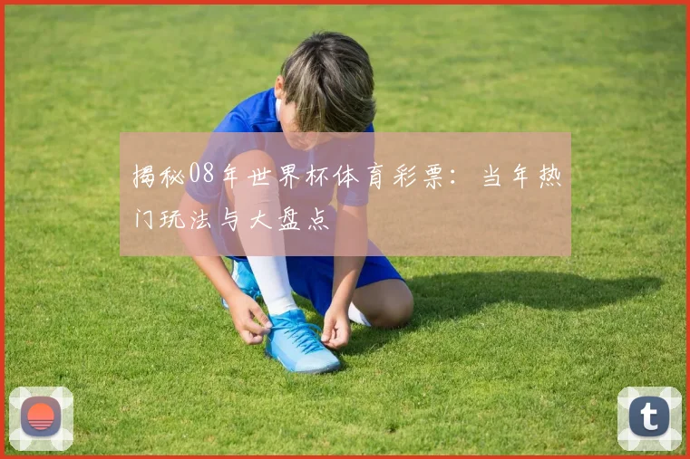 揭秘08年世界杯体育彩票：当年热门玩法与大盘点