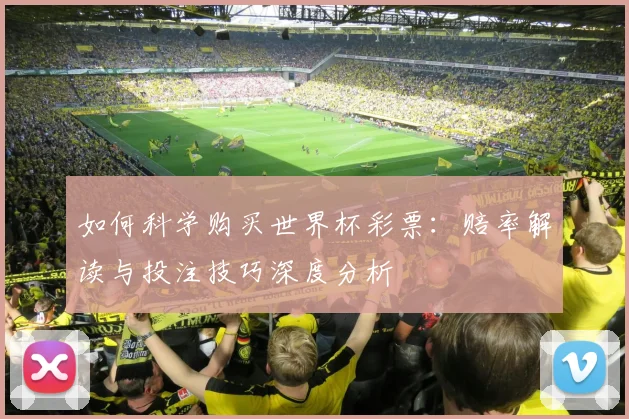 如何科学购买世界杯彩票：赔率解读与投注技巧深度分析