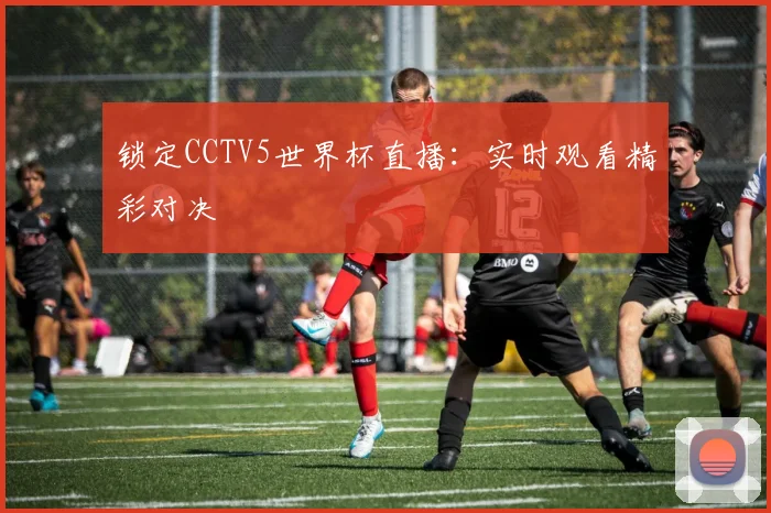 锁定CCTV5世界杯直播：实时观看精彩对决