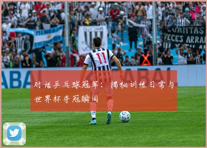 对话乒乓球冠军：揭秘训练日常与世界杯夺冠瞬间