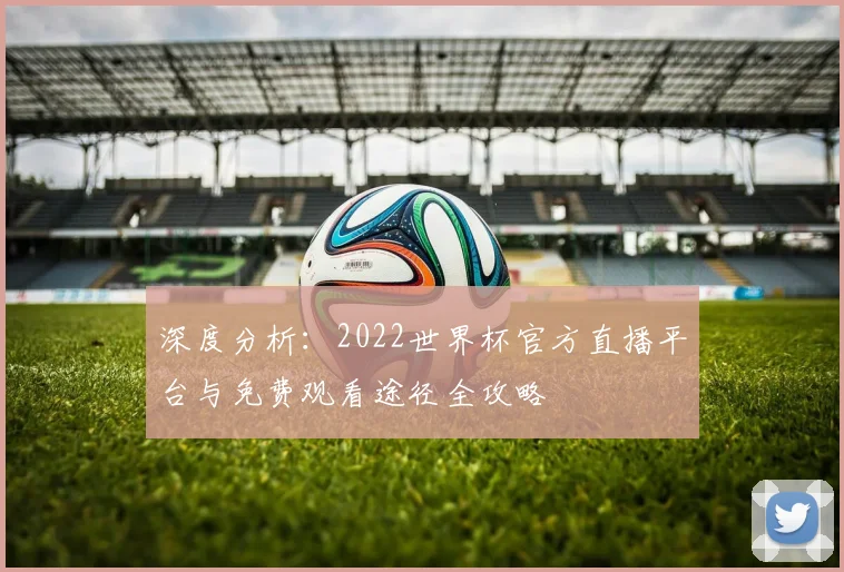 深度分析：2022世界杯官方直播平台与免费观看途径全攻略