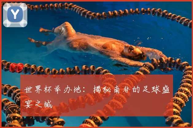 世界杯举办地：揭秘南非的足球盛宴之城